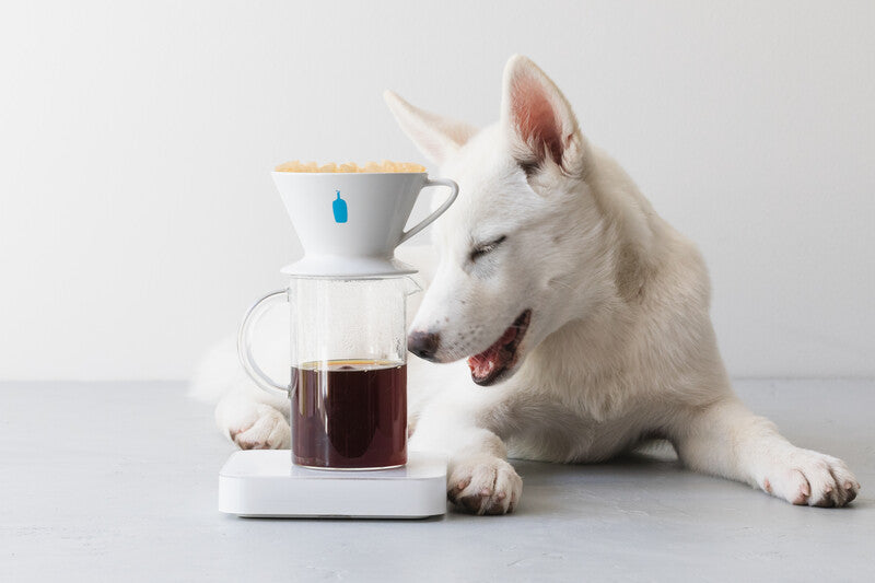 BLOG – 26ページ目 – BLUE BOTTLE COFFEE