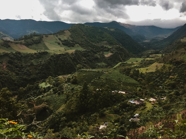 Colombia: The First Single-Origin Coffee