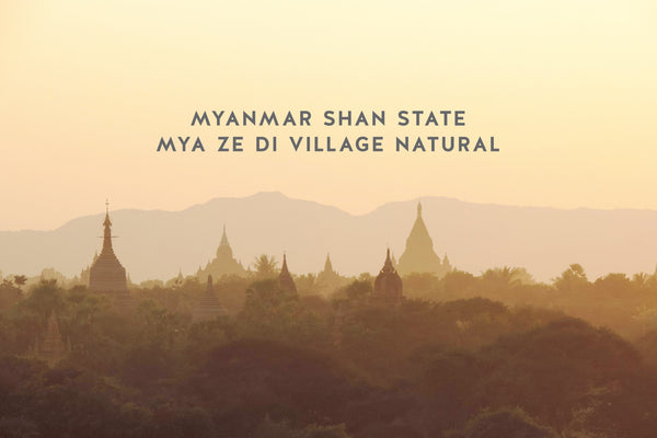 MYANMAR SHAN STATE MYA ZE DI VILLAGE NATURAL