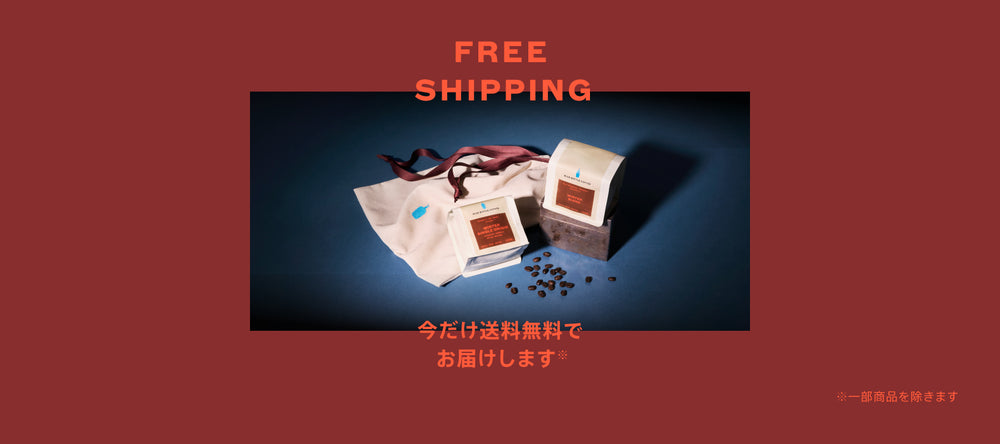 Free Shipping Campaign